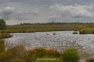 20230819-P8190167