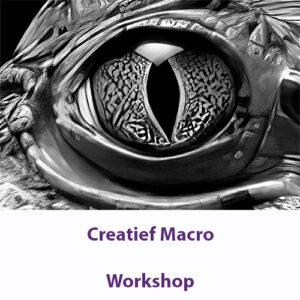 creatief macro 1