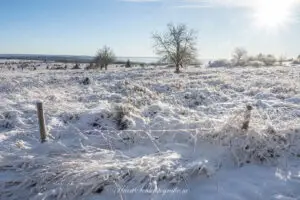 winter workshop in de ardennen